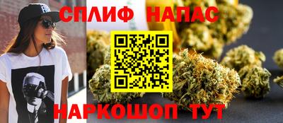 сатива Нарткала