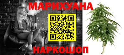 сатива Нарткала